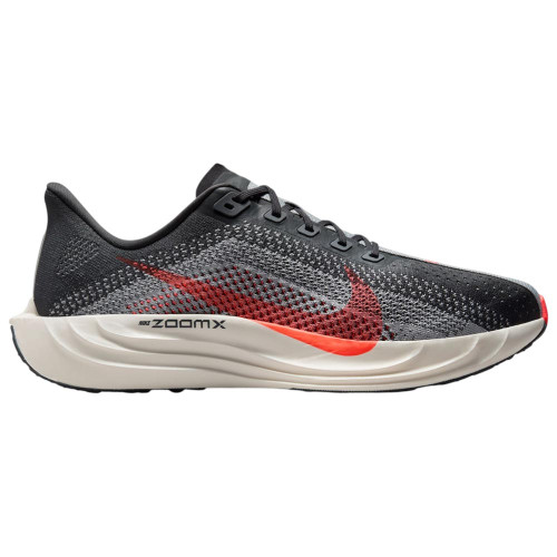 Nike Pegasus Plus